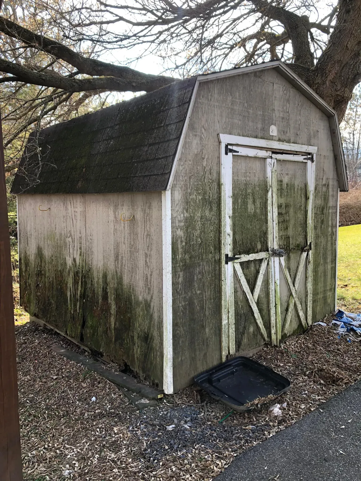 Shed Cleanout and Removal After