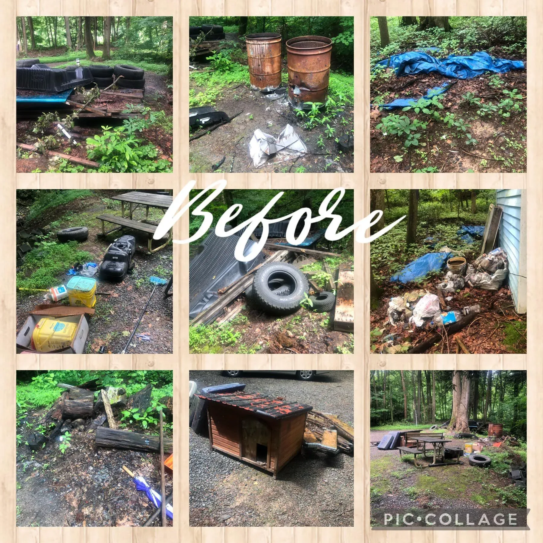Outdoor Property Cleanup Before