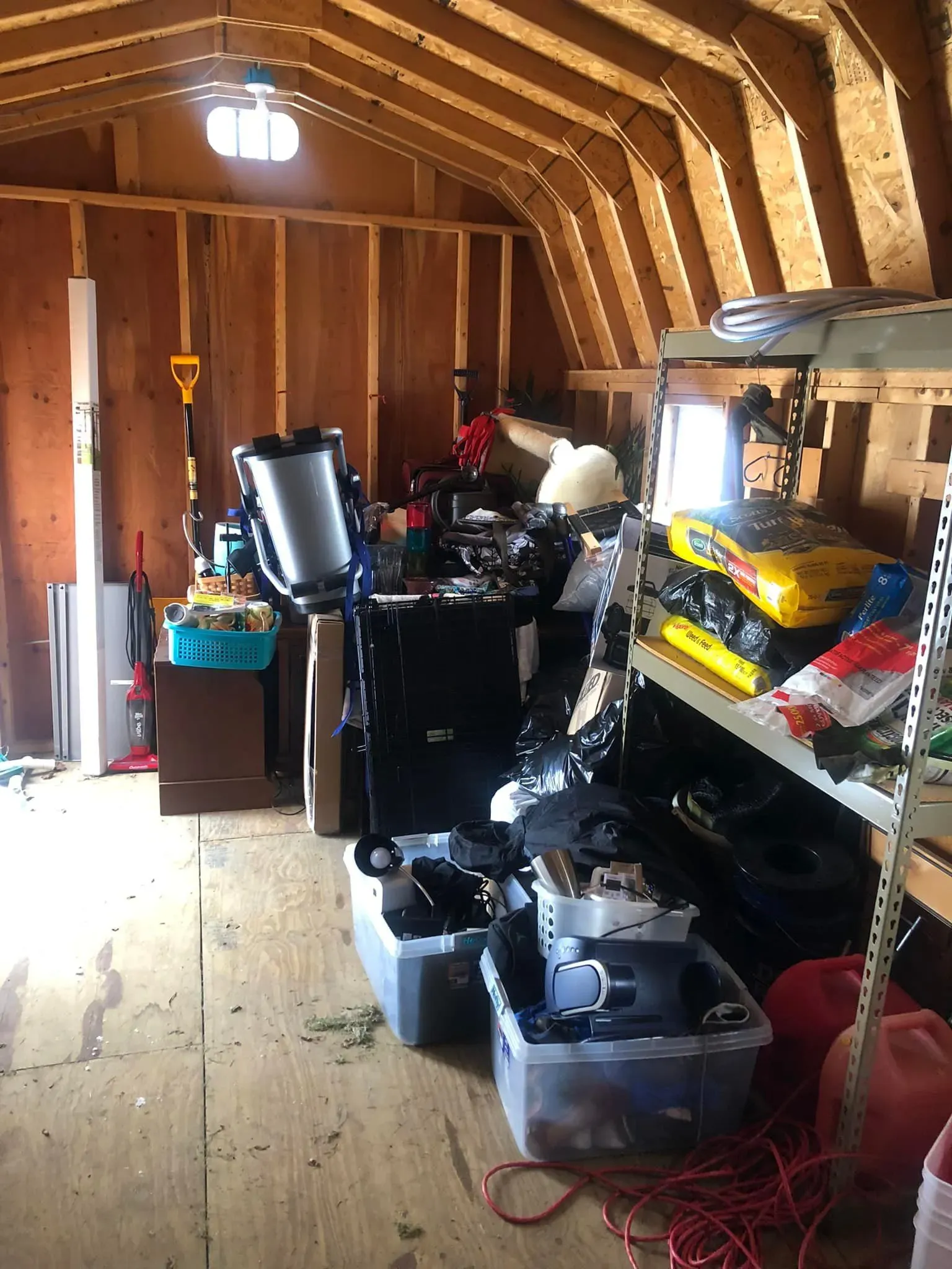 Shed Cleanout and Removal Before